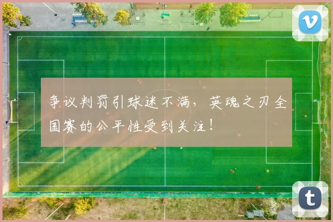 争议判罚引球迷不满，英魂之刃全国赛的公平性受到关注！